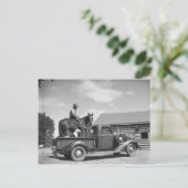 Cowboy met paard in een vrachtwagen briefkaart (Staand voorkant)