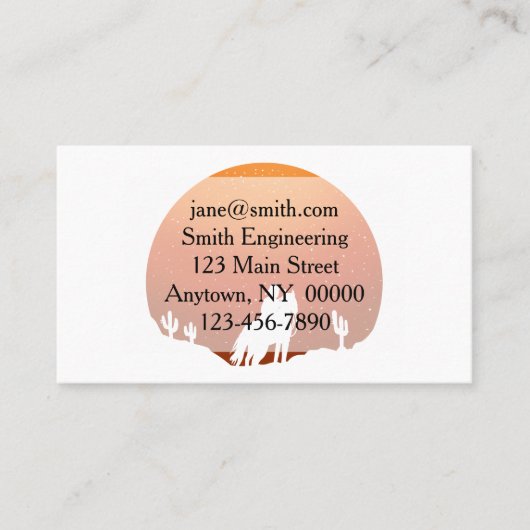 Cowboy met paard Wild West sunset landschap Visitekaartje (Voorkant)