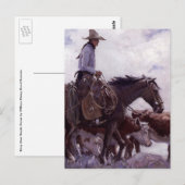 cowboy met zijn vee van Koerner Briefkaart (Voorkant / Achterkant)