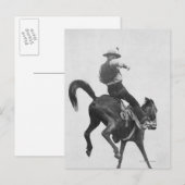 Cowboy Ned Coy Riding Bronco Briefkaart (Voorkant / Achterkant)