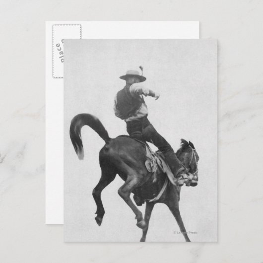 Cowboy Ned Coy Riding Bronco Briefkaart (Voorkant / Achterkant)