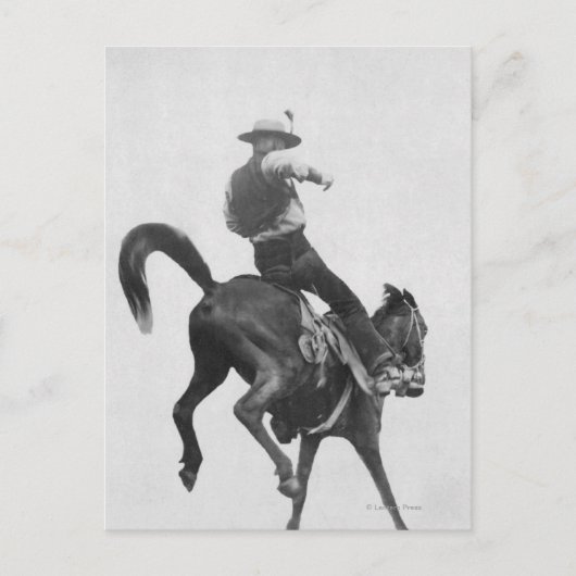 Cowboy Ned Coy Riding Bronco Briefkaart (Voorkant)