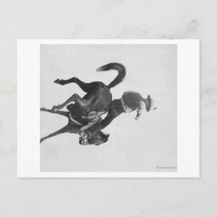 Cowboy Ned Coy Riding Bucking Bronco genaamd Briefkaart