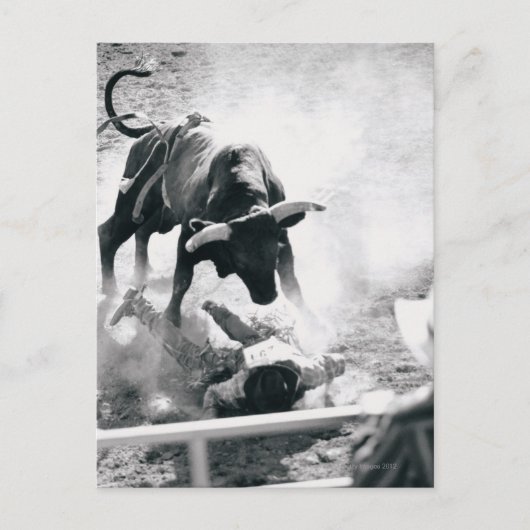 Cowboy op de grond na vallen van stier briefkaart (Voorkant)
