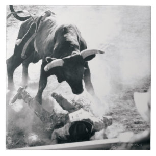 Cowboy op de grond na vallen van stier tegeltje