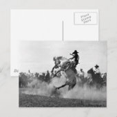 Cowboy op een boekje bronco briefkaart (Voorkant / Achterkant)