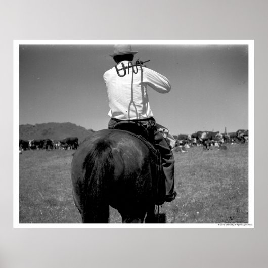 Cowboy op een paard met twee merken. poster (Voorkant)