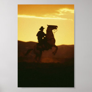 Cowboy over het houden van paarden poster