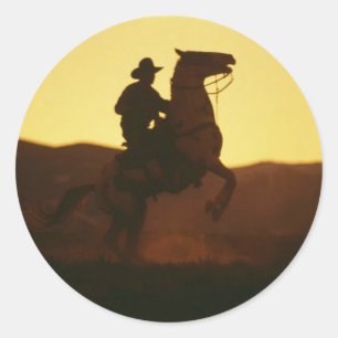 Cowboy over het houden van paarden ronde sticker