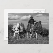 Cowboy Paard en Mule Briefkaarten (Voorkant / Achterkant)