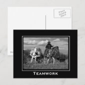 Cowboy Paard en Mule Motivatie Briefkaarten (Voorkant / Achterkant)