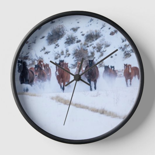 Cowboy paard rijden | Hideout Ranch Shell, Wyoming (Voorkant)