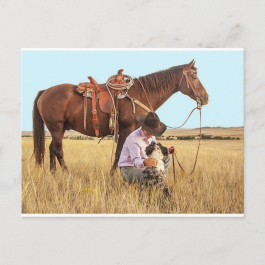 Cowboy, paarden en honden briefkaart (Voorkant)