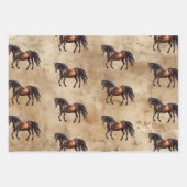 Cowboy Petten Boots Koeienhuid Inpakpapier Vel (Voorkant 3)