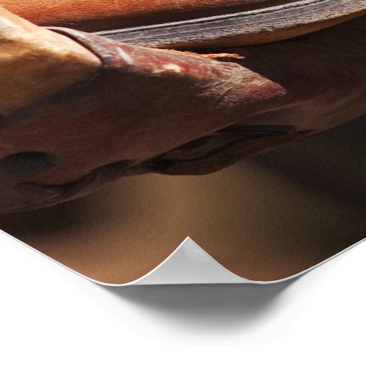 Cowboy Poster (Hoek)