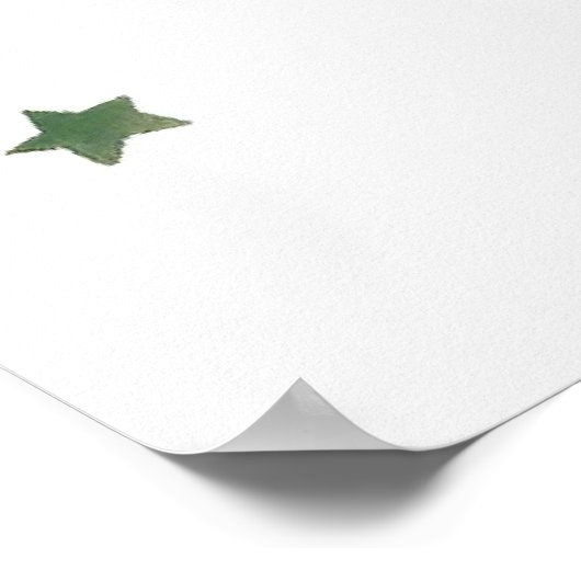 cowboy poster (Hoek)