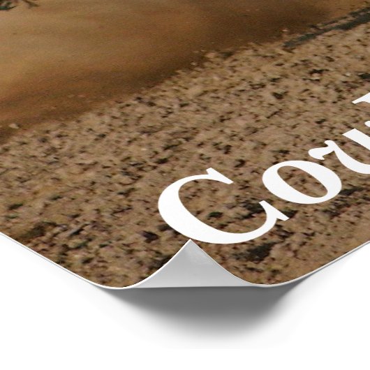 Cowboy Protection Poster (Hoek)