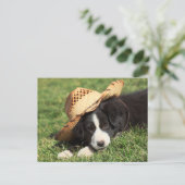 Cowboy Puppy Briefkaart (Staand voorkant)