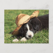 Cowboy Puppy Briefkaart (Voorkant)