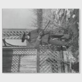 Cowboy Rancher of Canadese Outlaw van het Oude Wes Cadeaupapier (Vlak)