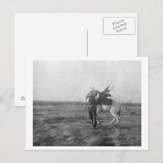 Cowboy "Red Saunders" Zadels a Bronco Briefkaart (Voorkant / Achterkant)