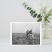 Cowboy "Red Saunders" Zadels a Bronco Briefkaart (Staand voorkant)