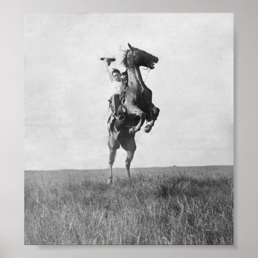 Cowboy Rides Bronco Poster (Voorkant)