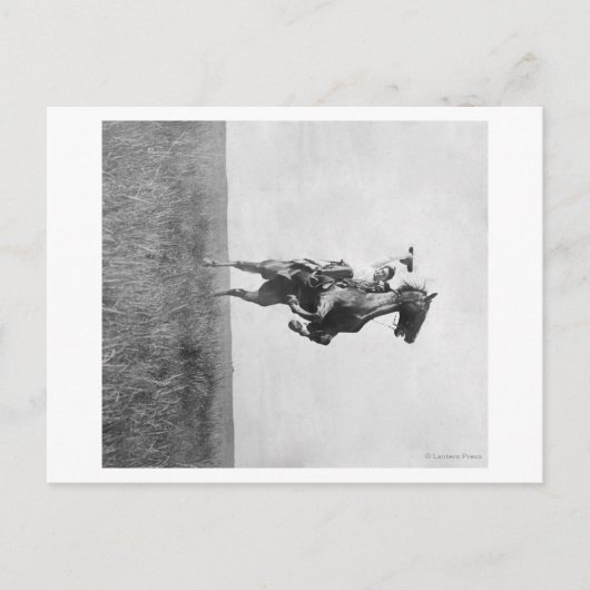 Cowboy Rides Bronco Rising on its Hing Legs Briefkaart (Voorkant)