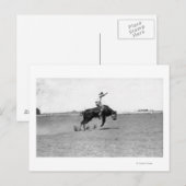 Cowboy Riding a Bucking Bull Briefkaart (Voorkant / Achterkant)