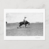 Cowboy Riding a Bucking Bull Briefkaart (Voorkant)