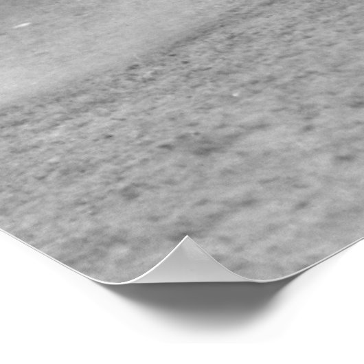 Cowboy Riding a Bucking Bull Poster (Hoek)