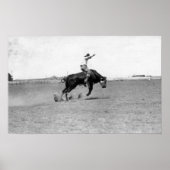 Cowboy Riding a Bucking Bull Poster (Voorkant)