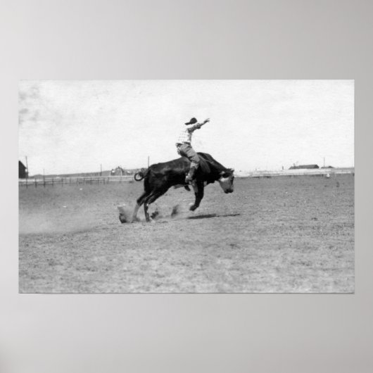 Cowboy Riding a Bucking Bull Poster (Voorkant)