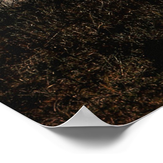 Cowboy Riding the Fire Line of a Praire Burn Poster (Hoek)