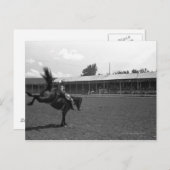 Cowboy-rijdend paard in rodeo (B&W) Briefkaart (Voorkant / Achterkant)
