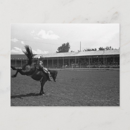Cowboy-rijdend paard in rodeo (B&W) Briefkaart (Voorkant)
