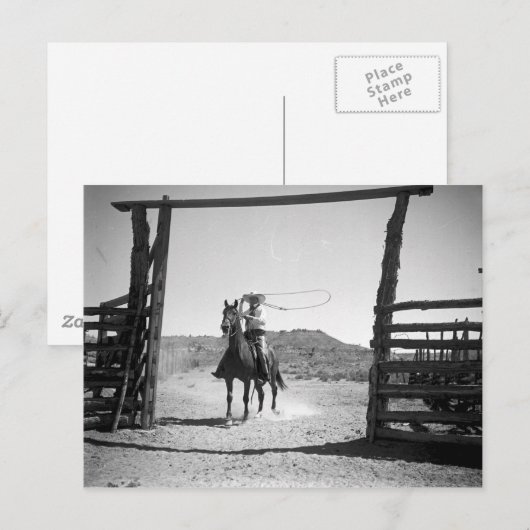 Cowboy roping briefkaart (Voorkant / Achterkant)