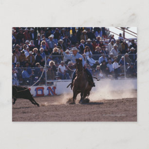Cowboy Roping Calf in Rodeo Briefkaart