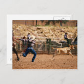 Cowboy roping kalf in rodeo briefkaart (Voorkant / Achterkant)