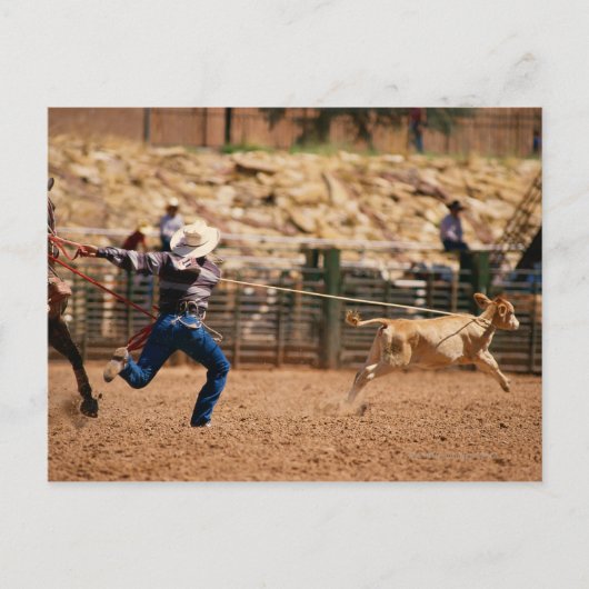 Cowboy roping kalf in rodeo briefkaart (Voorkant)
