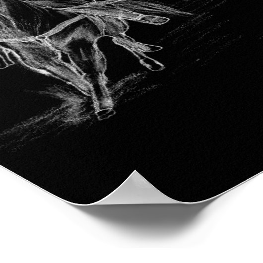 Cowboy Roping Poster (Hoek)