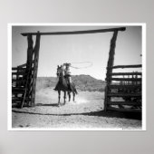 Cowboy roping poster (Voorkant)