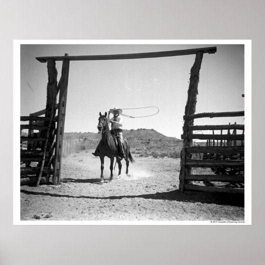 Cowboy roping poster (Voorkant)