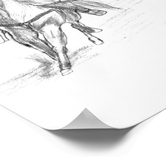 Cowboy Roping Poster (Hoek)