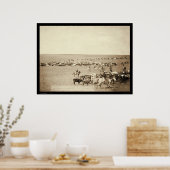 Cowboy Round-Up in Belle Fouche SD 1887 Poster (Keuken)