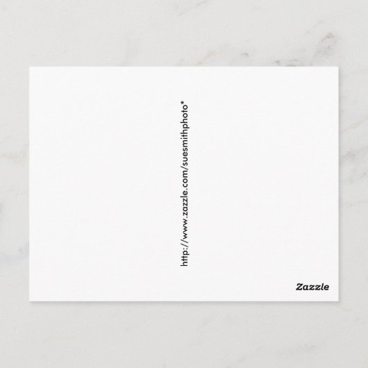 Cowboy Santa - Wagon met Hay Bales Briefkaart (Achterkant)