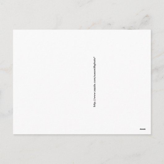 Cowboy Santa - Wagon met Hay Bales Feestdagenkaart (Achterkant)