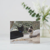 Cowboy & Shiva Briefkaart (Staand voorkant)