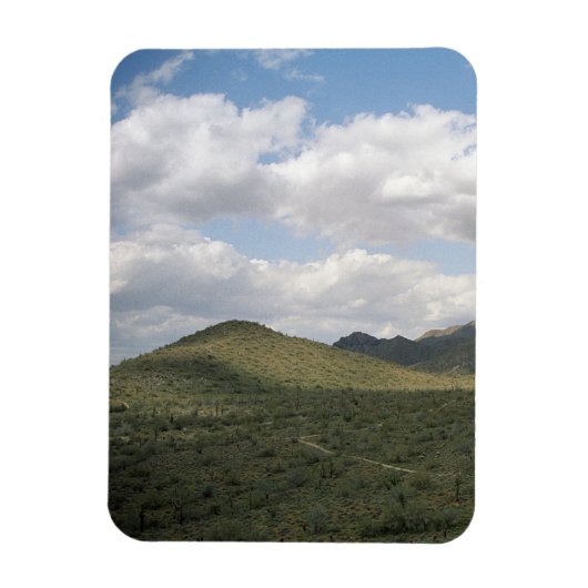 Cowboy Skyline Decorative Western Desert Magnet Magneet (Verticaal)
