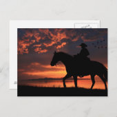 Cowboy Sunset Briefkaart (Voorkant / Achterkant)